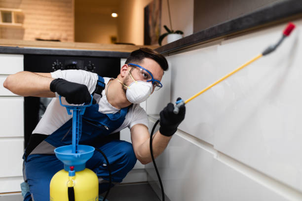 Best Wasp Removal Services  in Como, WI