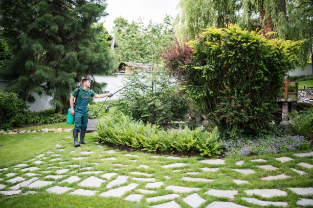 Best Affordable Pest Control Services  in Como, WI