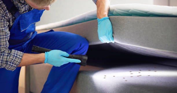 Best Bed Bug Extermination  in Como, WI
