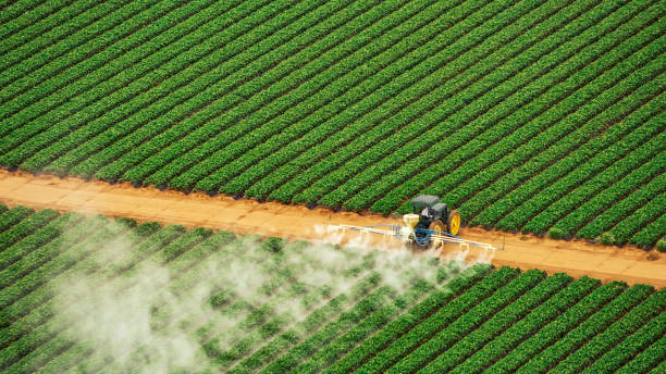 Pest Control Cost in Como, WI