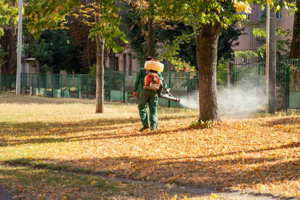 Best Affordable Pest Control Services  in Como, WI