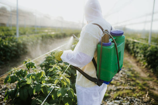 Best Pest Control Cost  in Como, WI